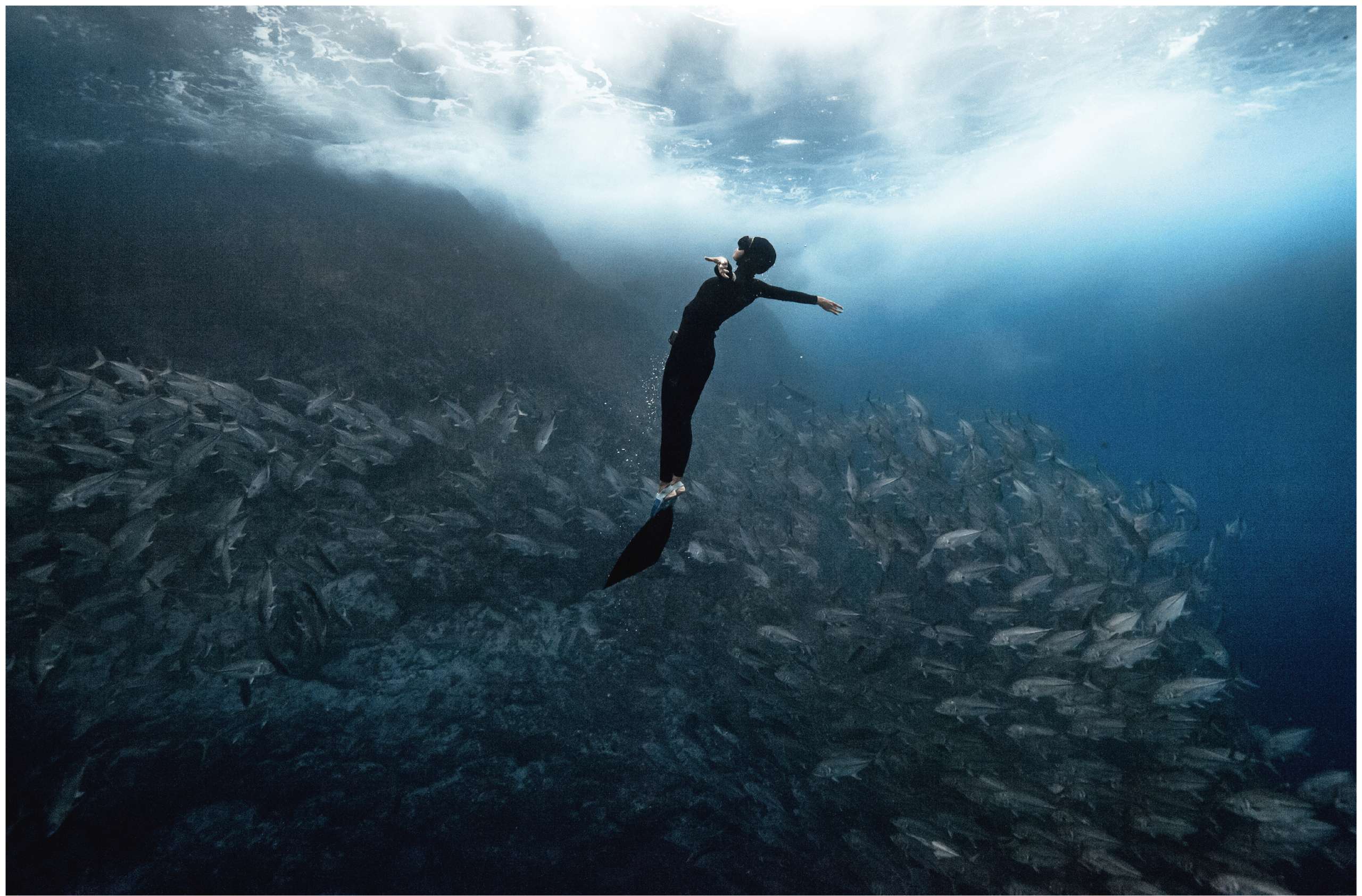 Tauchen im Fischschwarm